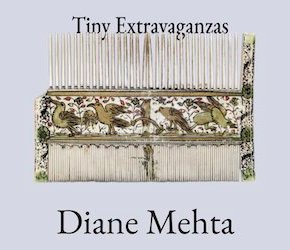 Rhythm, Melody, and Tiny Extravaganzas: Q&A with Diane Mehta